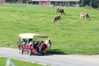 Kutschenfahrt