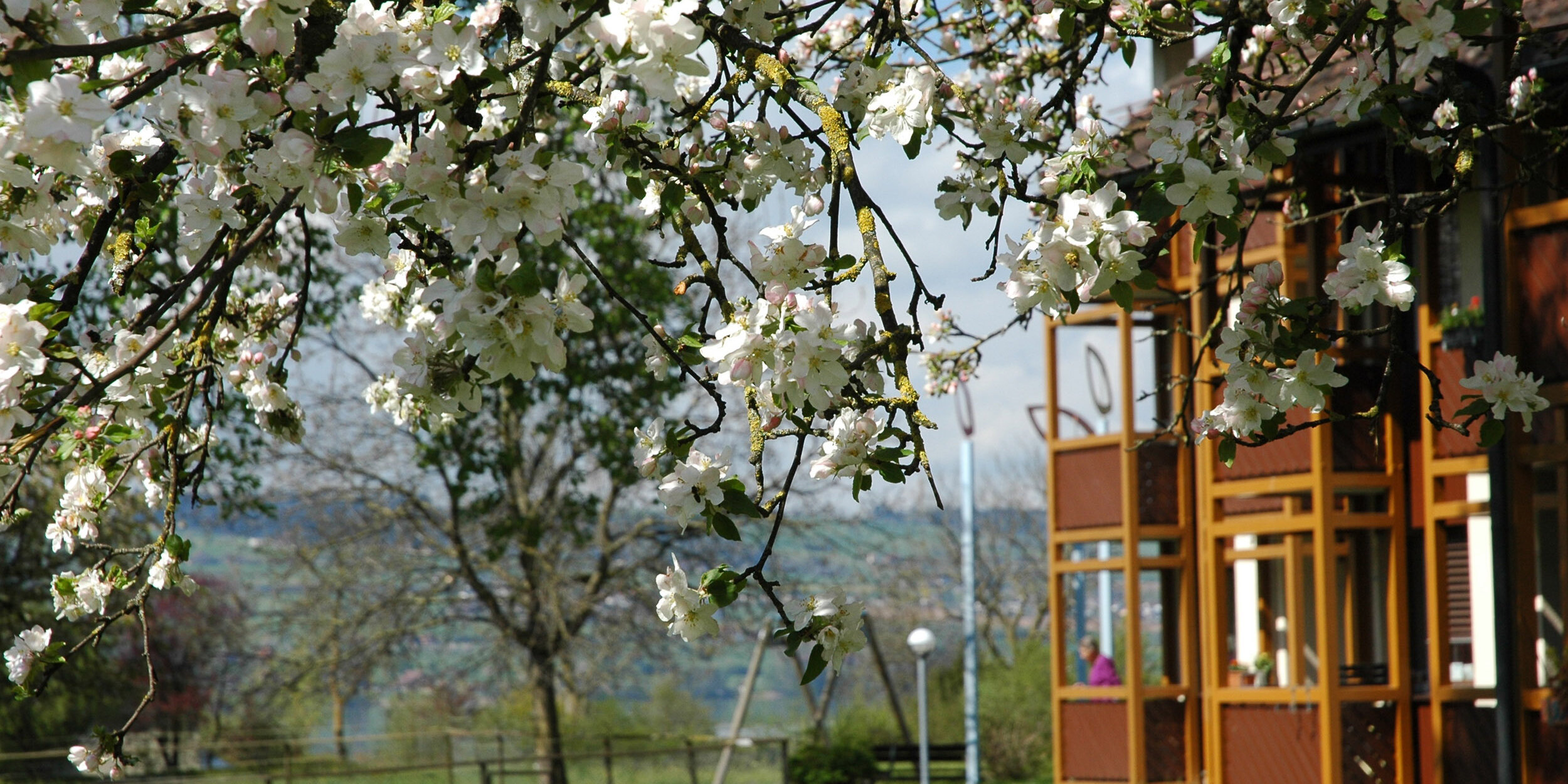Neuigkeiten aus dem Meierhöfli