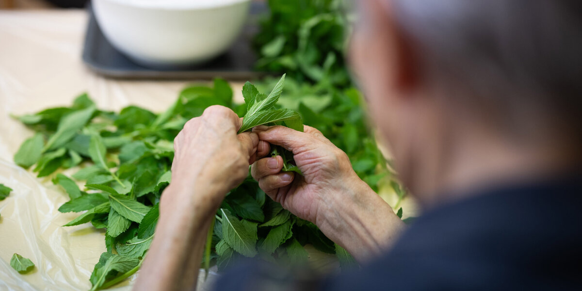 Galerie - Aktivierung